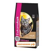 Сухой корм Eukanuba Cat для взрослых кошек курица+ливер (2 кг) (5503)