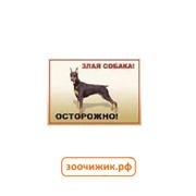 Табличка Данко "Осторожно! Злая собака" доберман А5
