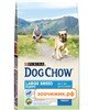 Сухой корм Dog Chow puppy large breed для щенков (крупных пород) (2.5кг)