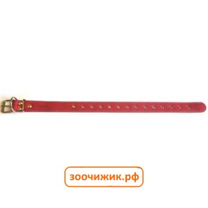 Ошейник Аркон красный 35мм универсальный (46-60см)
