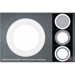  Reluce 70512-9.0-001TM LED12+4W  WH/DL+DL панель светодиодная