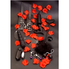 Игровой набор Amazing Pleasure Sex Toy Kit