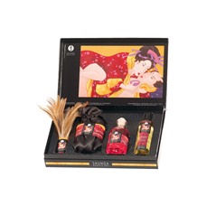 Подарочный набор Shunga Gift Set Tenderness/Passion