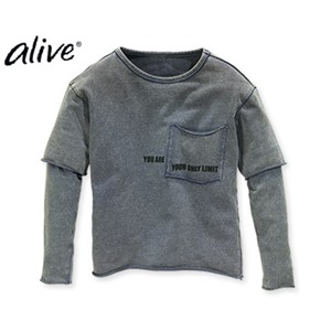Джемпер для мальчика 2в1 Alive