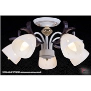  Reluce 11781-0.3-05 WT-FGD светильник потолочный