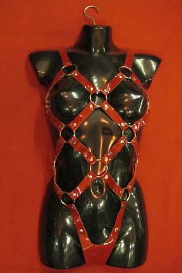 Шлейка-сбруя 