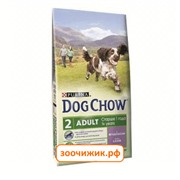 Сухой корм Dog Chow adult для собак, ягнёнок (14 кг)