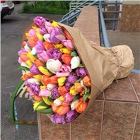 Букет микс из 101 тюльпана