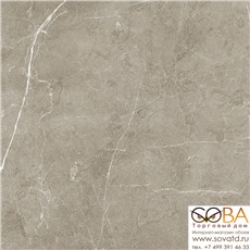 Керамогранит Scandy  табачный обрезной SG645420R 60х60 купить по лучшей цене в интернет магазине стильных обоев Сова ТД. Доставка по Москве, МО и всей России