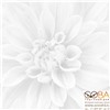 Панно Crisantemo  из 3-х шт 36-05-00-463-0 60х60, интернет-магазин Sportcoast.ru