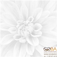 Панно Crisantemo  из 3-х шт 36-05-00-463-0 60х60 купить по лучшей цене в интернет магазине стильных обоев Сова ТД. Доставка по Москве, МО и всей России