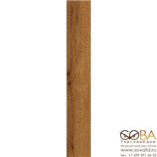 Керамогранит Atlas Concorde  Верити Коньяк 20x120 купить по лучшей цене в интернет магазине стильных обоев Сова ТД. Доставка по Москве, МО и всей России