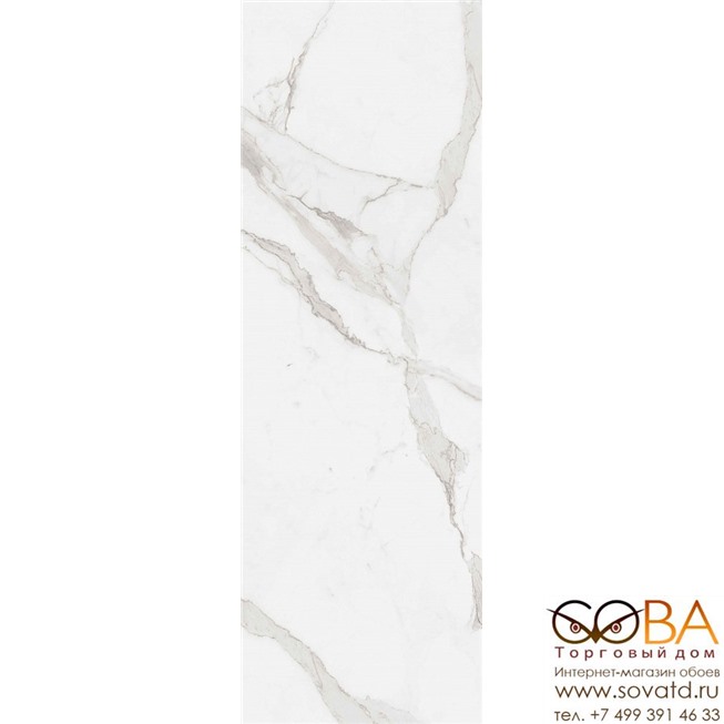 Плитка Creto  Statuario White W M 25x75 NR Glossy 1 купить по лучшей цене в интернет магазине стильных обоев Сова ТД. Доставка по Москве, МО и всей России