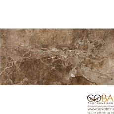 Керамогранит Krazzy Brown  60х120 Полированный купить по лучшей цене в интернет магазине стильных обоев Сова ТД. Доставка по Москве, МО и всей России