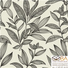 Обои Rasch 466409 Salsa купить по лучшей цене в интернет магазине стильных обоев Сова ТД. Доставка по Москве, МО и всей России