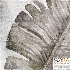 Керамогранит ZYX Amazonia Tropic Grey (13.8x13.8)см 220959 (Испания) купить по лучшей цене в интернет магазине стильных обоев Сова ТД. Доставка по Москве, МО и всей России