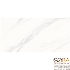 Керамогранит Calacatta Superb  белый 60x120 сатинированный купить по лучшей цене в интернет магазине стильных обоев Сова ТД. Доставка по Москве, МО и всей России