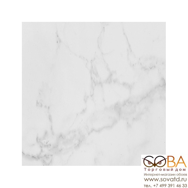 Керамогранит Porcelanosa Marmol Carrara Blanco Brillo (59.6x59.6)см P1856896 (Испания) купить по лучшей цене в интернет магазине стильных обоев Сова ТД. Доставка по Москве, МО и всей России