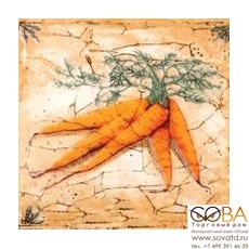 Декор Гурман  морковь (D-496) 16,5х16,5 купить по лучшей цене в интернет магазине стильных обоев Сова ТД. Доставка по Москве, МО и всей России