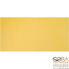 Настенная плитка Pamesa  Agatha Amarillo 25 x 50 купить по лучшей цене в интернет магазине стильных обоев Сова ТД. Доставка по Москве, МО и всей России