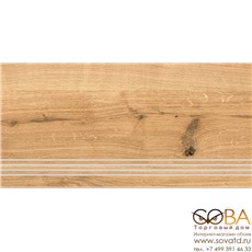 Ступень Woodhouse  коричневый (A-WS4O116\J) 29,7х59,8 купить по лучшей цене в интернет магазине стильных обоев Сова ТД. Доставка по Москве, МО и всей России