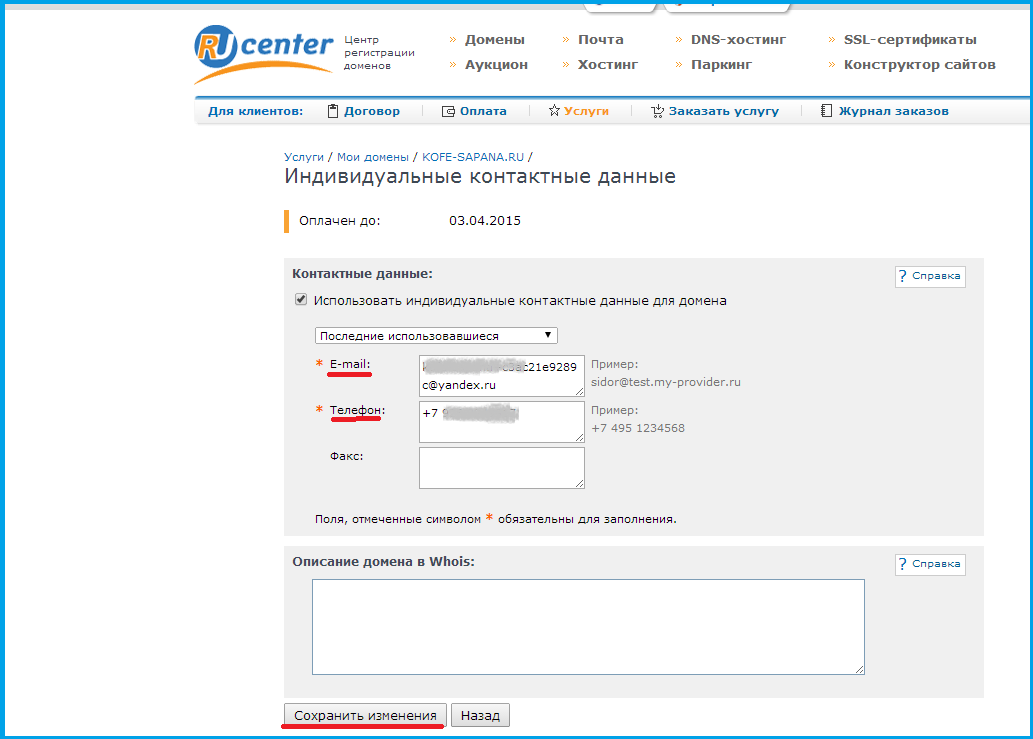 Password nic ru. Настройка домена. Хостинг ру центр. Регистрация домена в ру центр.