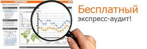 Бесплатный экспресс-аудит интернет магазинов на Eshoper.ru